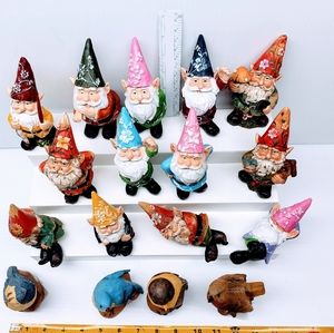 Gnomes